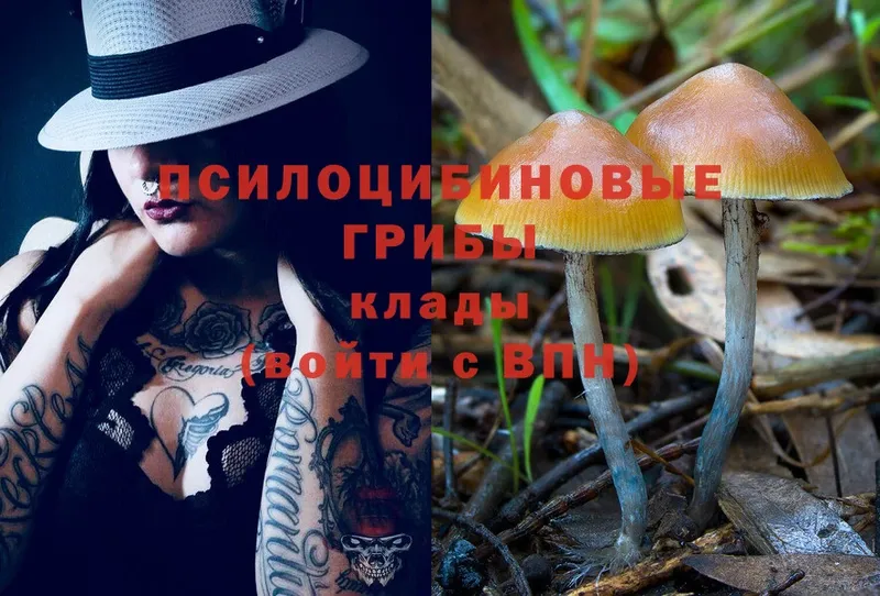 Галлюциногенные грибы Cubensis  Бобров 